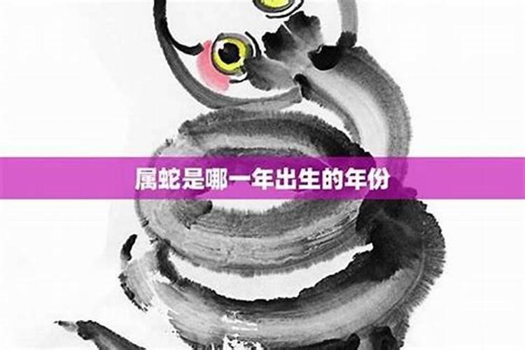 2024属蛇的遇上什么年运气最好