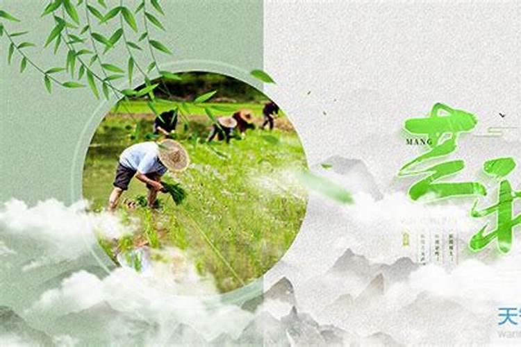 自贡灯会中华彩灯大世界开放时间