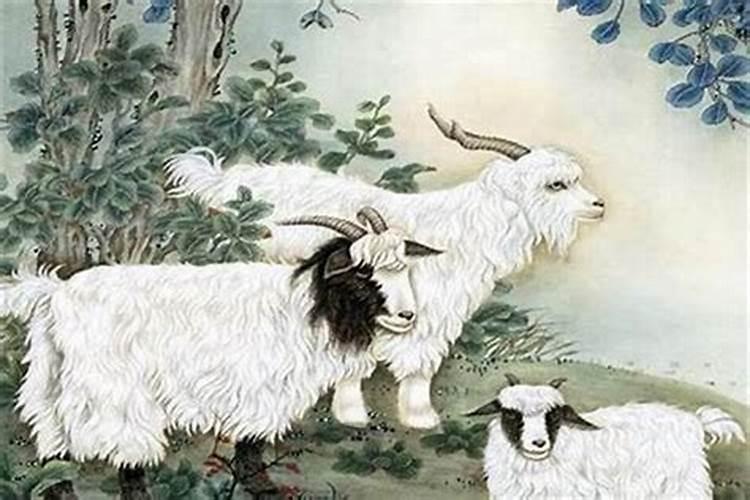 67年属羊人2025年全年运势详解