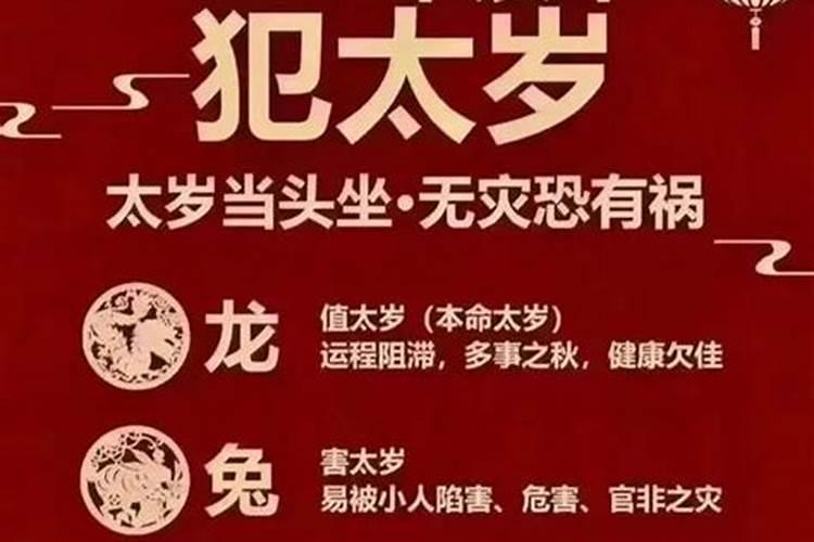 25年太岁犯什么属相