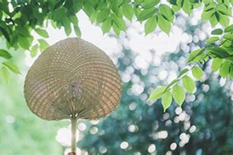 夏天早上几点天亮夏季的时间划分