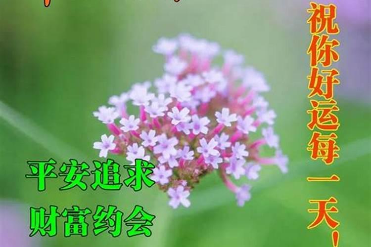 夏天早上几点天亮 夏季的时间划分