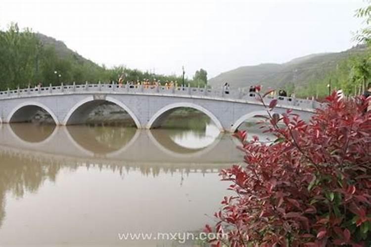 91年出生的31岁属羊哪年开端发财,哪一年财运最旺？？
