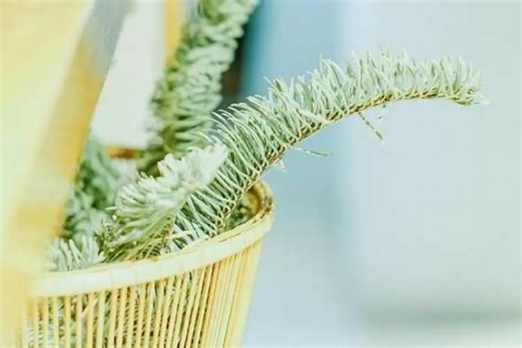 阳历2018年4月30日(农历三月十五),18:55出生,男孩,现在叫刘鹏飞,想改...