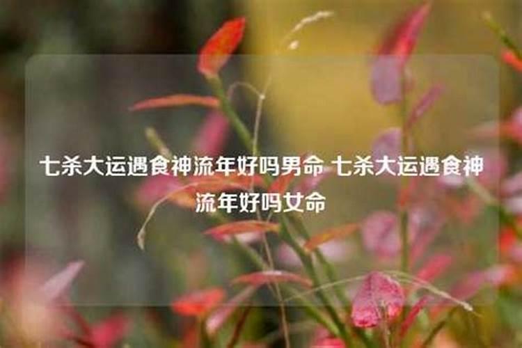 流年食才到底什么意思