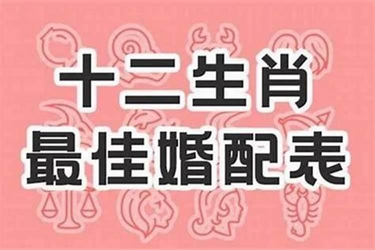 属虎的和属牛的婚配好不好？