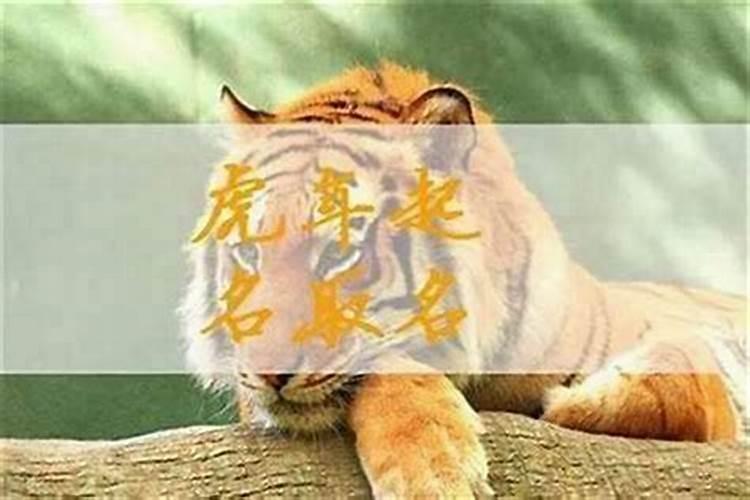 我看了易经网有一本书叫择日择吉类书不知内容和价格请帮回答