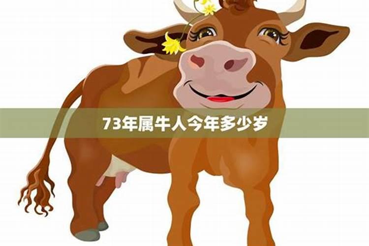 属龙的与属猴的八字在事业上协作好不好 合不合财？