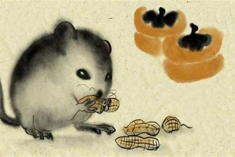 艾菲尔 十二生肖冬至节气运势分析12.2112.27