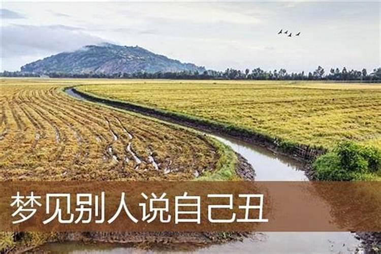 2024牛年犯太岁的属相有哪些 要如何化解