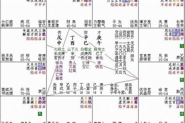 2031年是属什么年？
