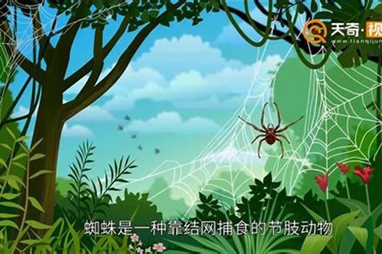 属龙和属蛇的人能结婚吗？