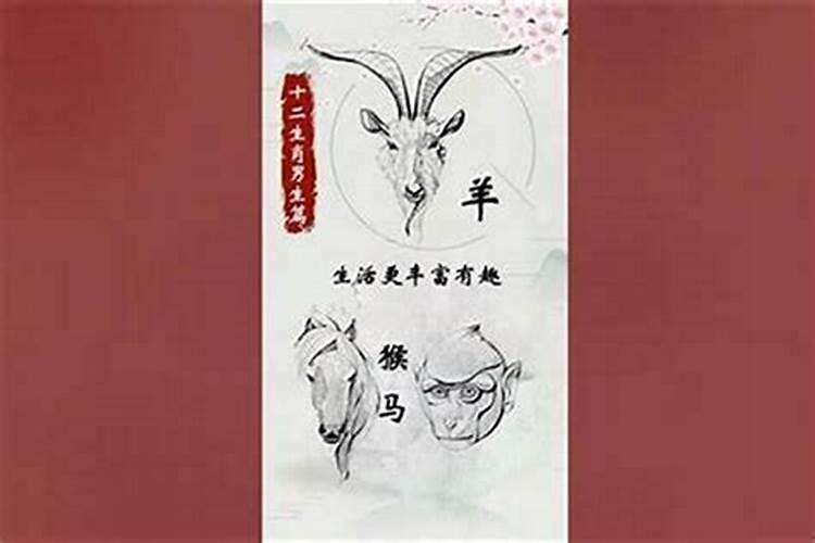 狗和羊在一起对谁不利 怎样化解羊狗不合？