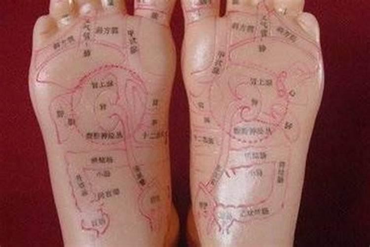 纹身可以纹神兽吗
