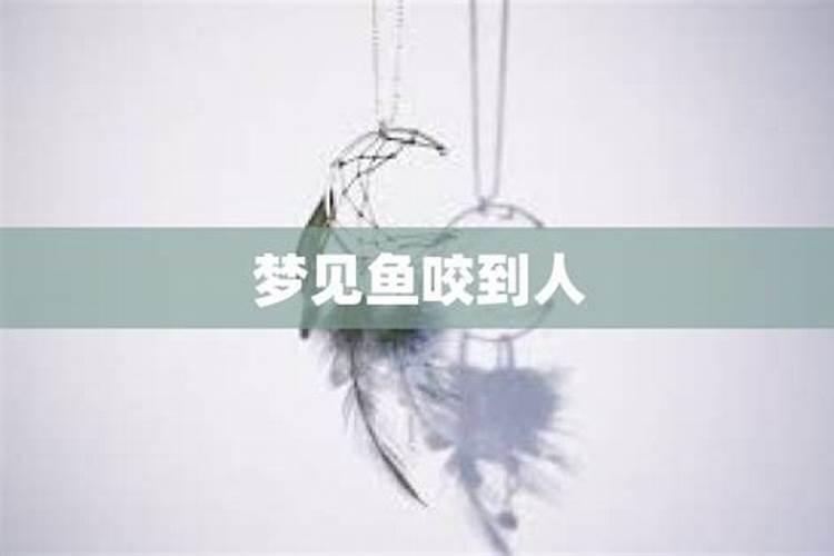 梦见金鱼咬人的预兆
