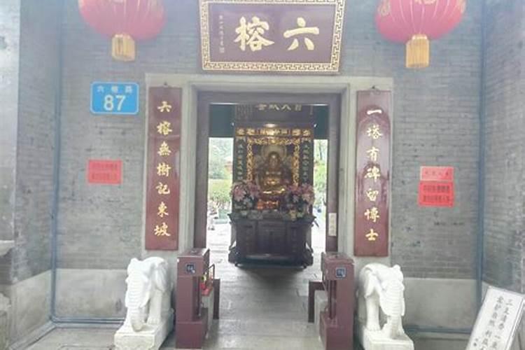 2025属猪的全年运势如何