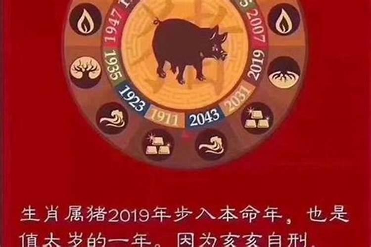 小年要吃饺子吗 小年需要吃饺子吗