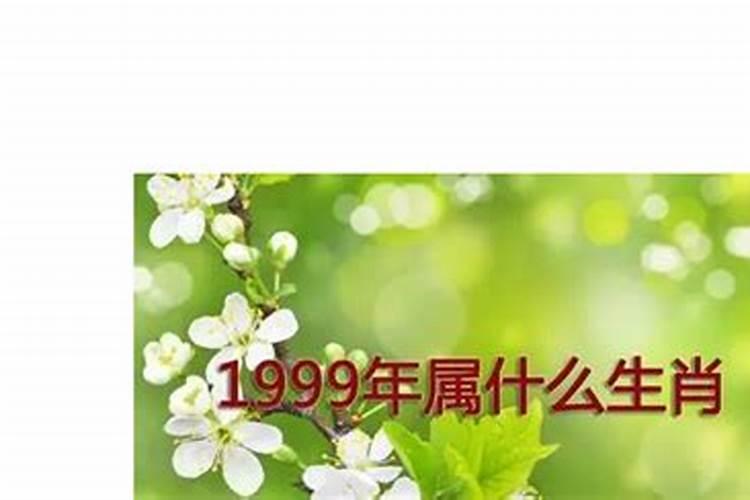 99年属兔人2025年运势如何