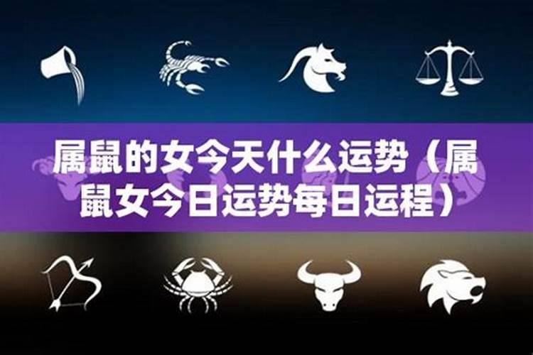 11月份星座运势查询 天蝎座2024年11月爱情运势