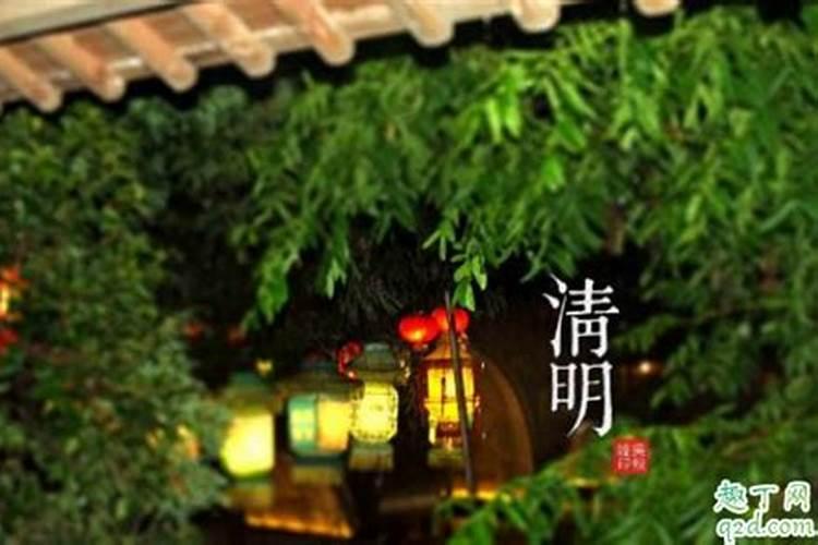清明节上坟带什么祭品