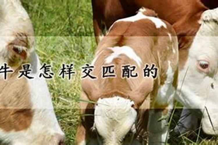 2000年农历3月25日出生2025年考工作运势如何