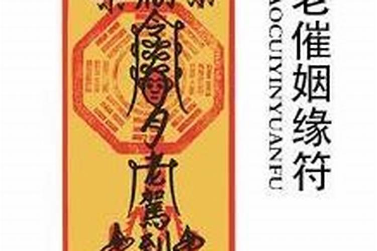 2024必定离婚的4大生肖 哪几个生肖会离婚