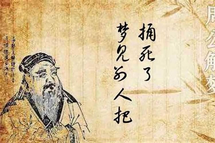 1975年属兔女2024年运势及每月运势如何