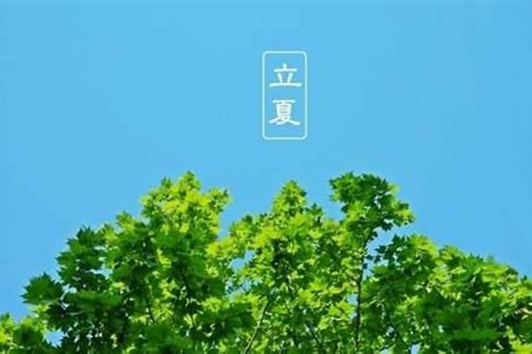 生肖猴1944年2025年运势如何 生肖猴1944年2025年全年运势