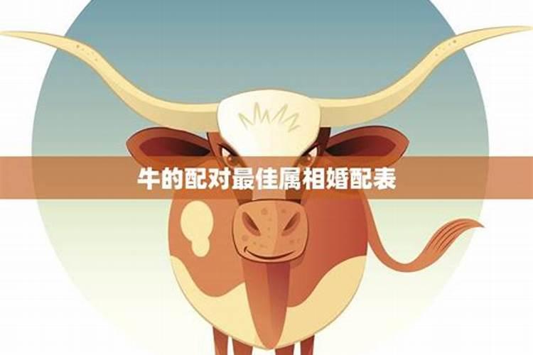 属牛配牛的婚姻怎么样