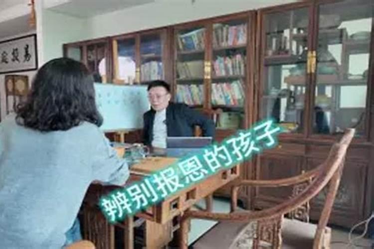 梦见被猫咬住腿不放的预兆