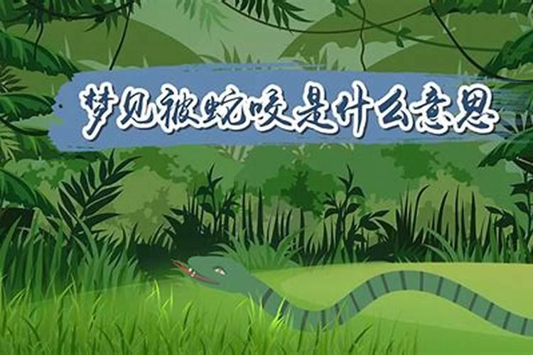 冬至吃饺子的来历