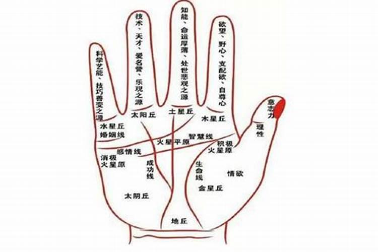 1997年1月2日属什么生肖什么星座
