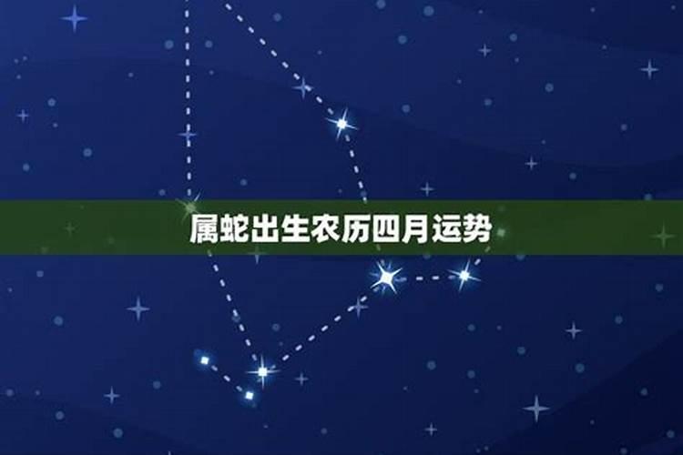 属蛇人:别去测命了阴历这几个月出生的能富贵