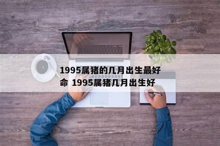 95年出生的是什么命