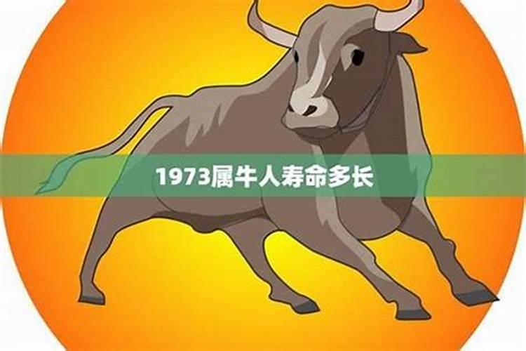 73年农历2月初四出生的男人运势如何