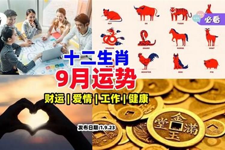1988年属龙男2025年每月运势及运程
