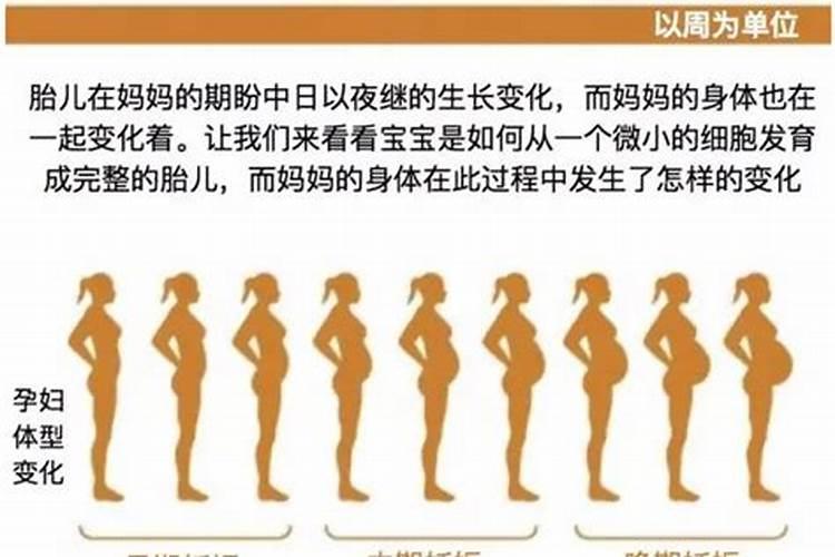 丙辰日柱婚配 己巳壬午日柱