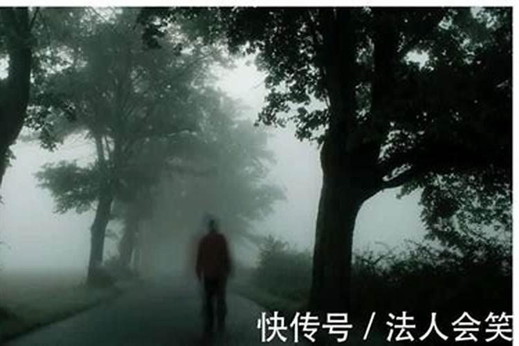 梦见自己已去世的父亲要坄胎去了？
