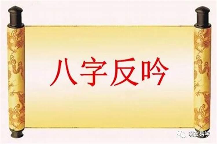 算命中的术语乖是什么意思？