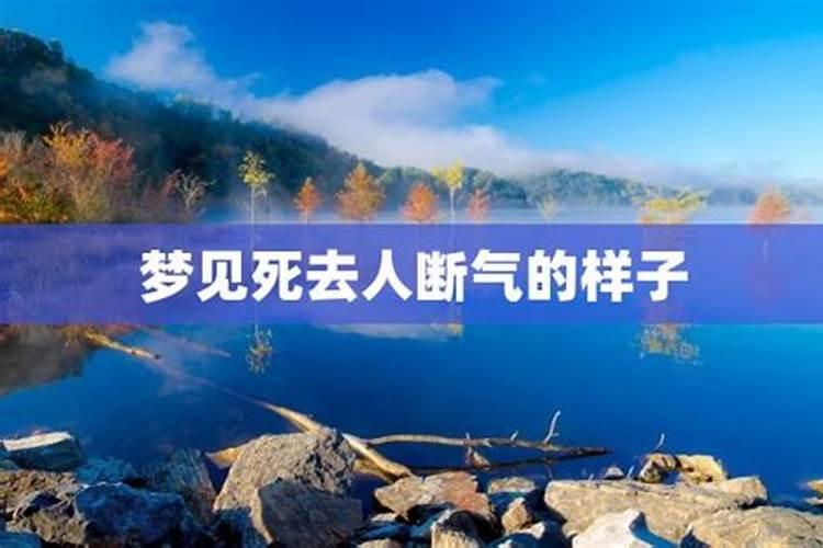 梦见已故的父亲像在世时一样并和自己生活是什么预兆？
