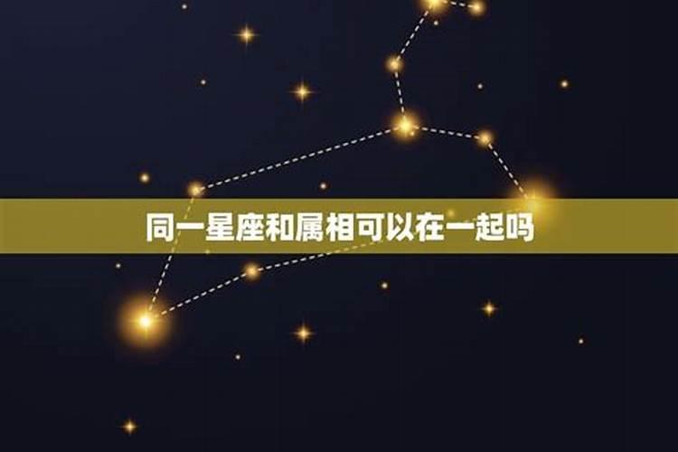 属相不合怎么办？