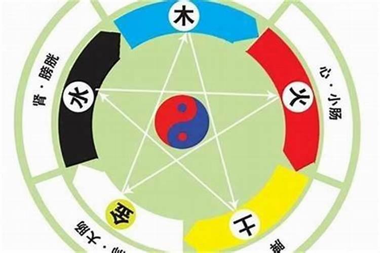 属鸡与兔子的婚配可以不,1981年属鸡和1987年属兔合婚可以吗？