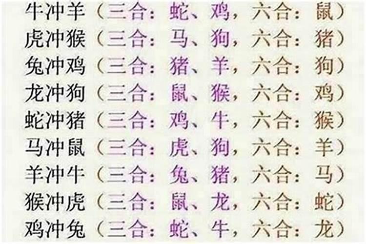 属牛的和属虎的婚姻怎么样 牛和虎能做夫妻吗？