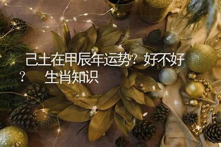 姜群:2024甲辰年犯太岁的生肖有哪些？犯太岁如何化解？