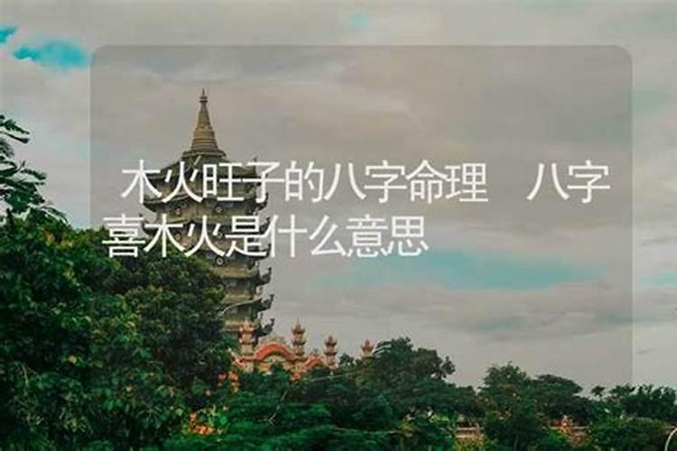 我想帮小儿改名,大师们说,“八字身弱喜木火”这是什么意思啊？