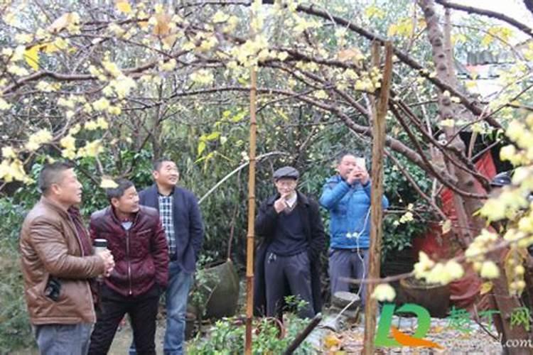 腊月里理发哪一天好？腊月理发有什么讲究