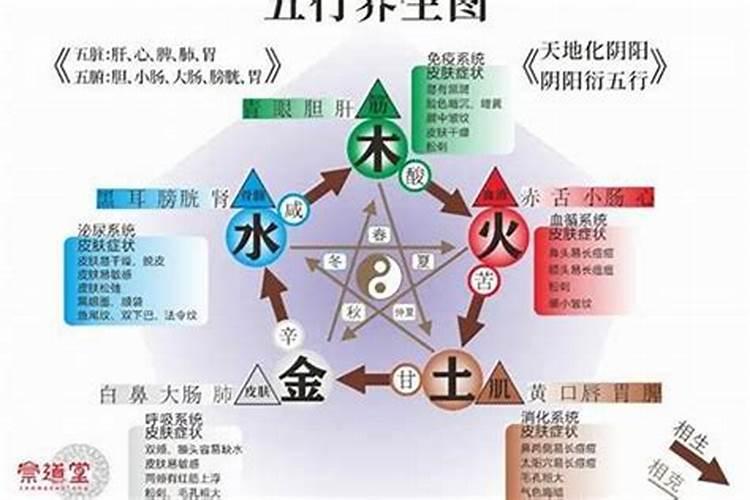 五行金水过旺,缺木缺火,喜水的人请问适合做什么工作
