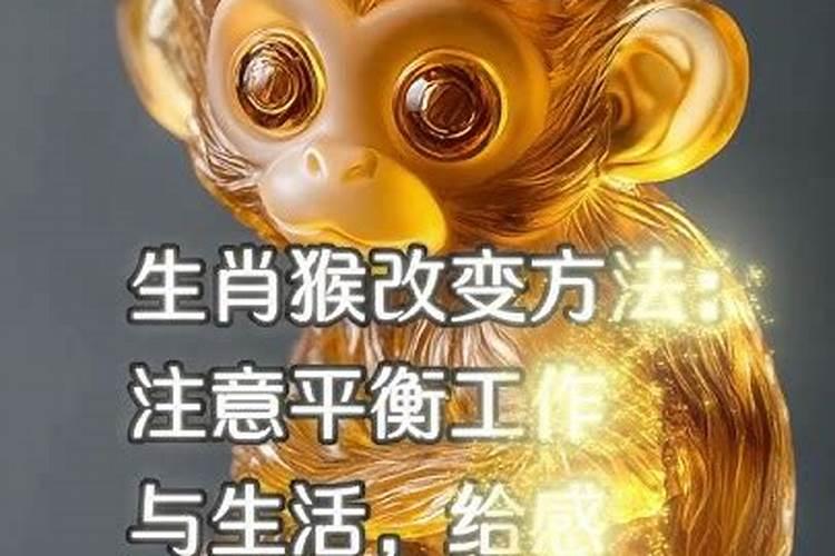 道教有什么活动？