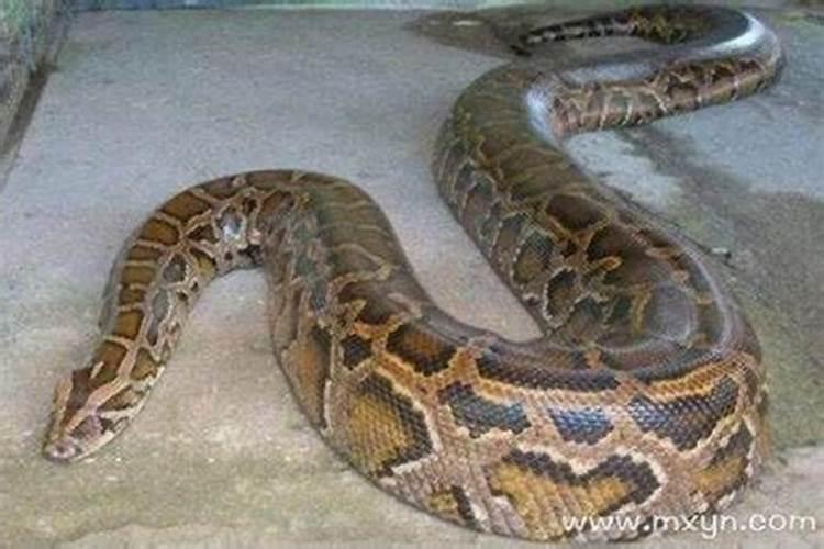 男人带什么可以辟邪转运