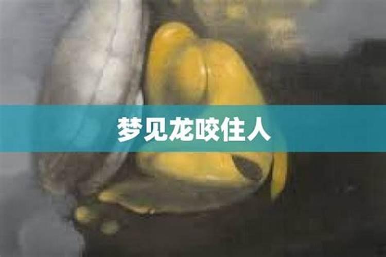梦见自己被龙咬的预兆